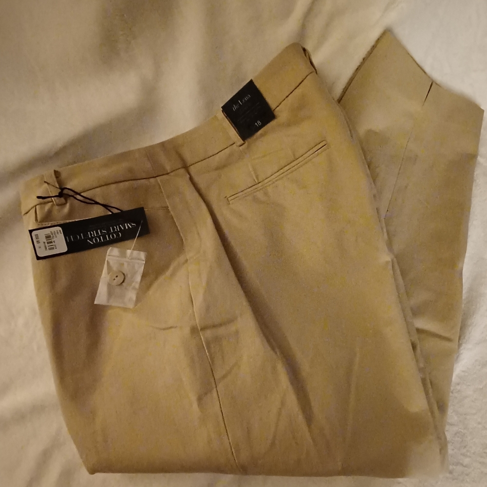 Lane Bryant Pant